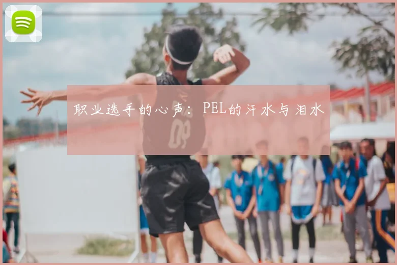 职业选手的心声:PEL的汗水与泪水