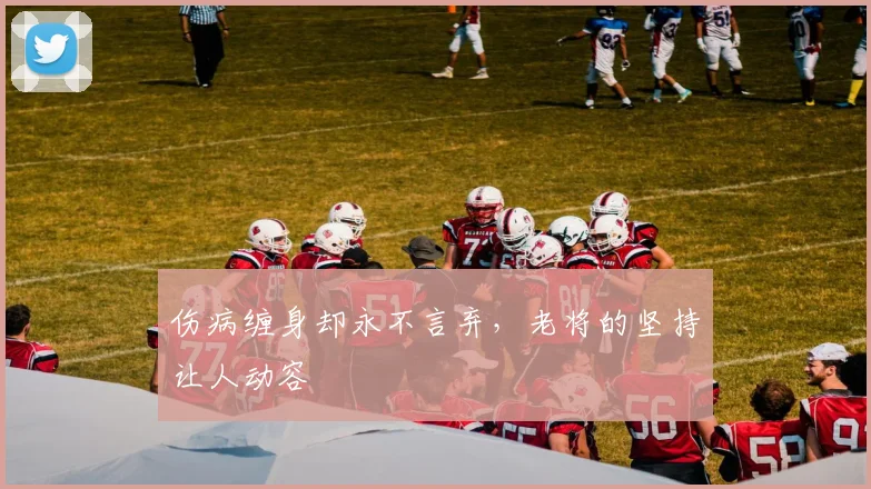 伤病缠身却永不言弃,老将的坚持让人动容