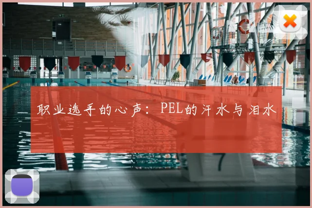 职业选手的心声：PEL的汗水与泪水