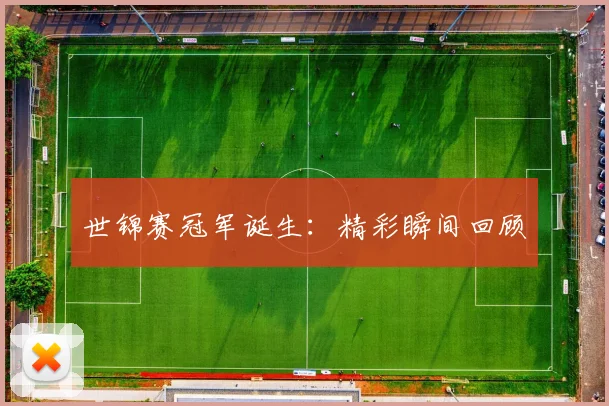世锦赛冠军诞生：精彩瞬间回顾